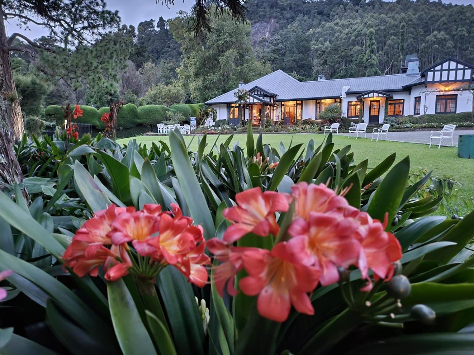Hill Cottage Nuwara Eliya Kültér fotó