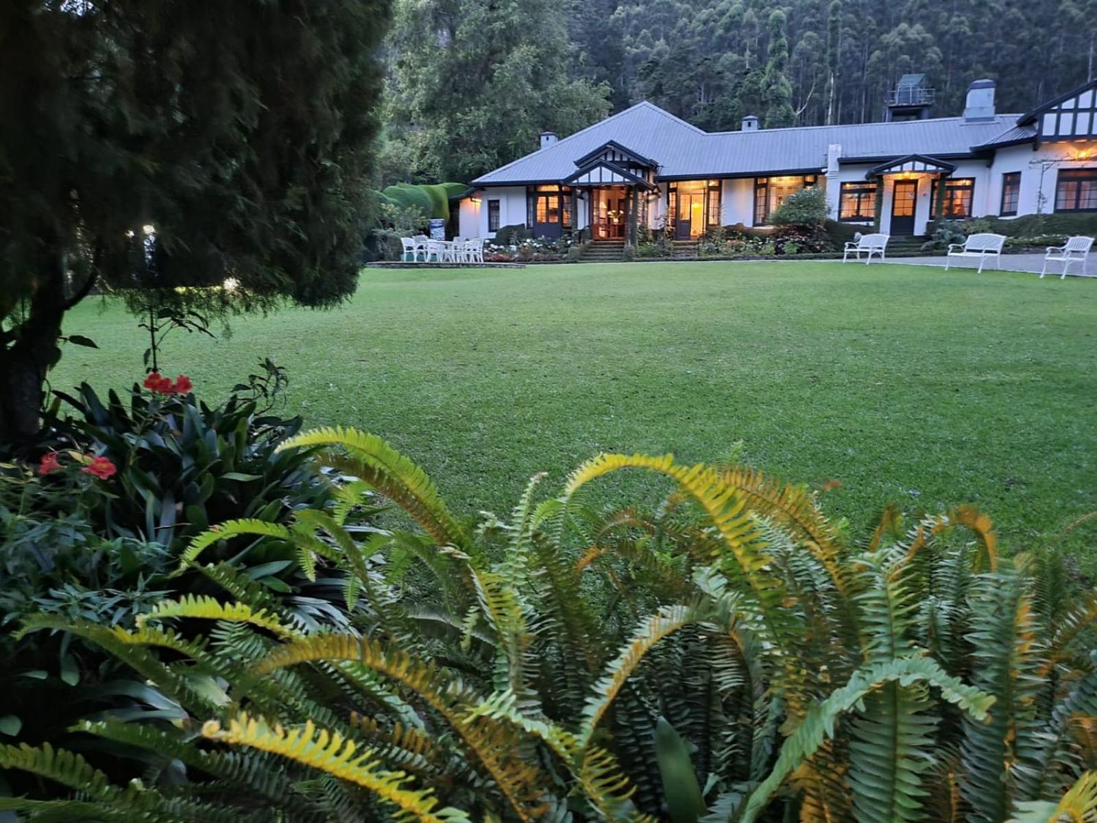 Hill Cottage Nuwara Eliya Kültér fotó